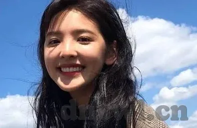 大象传媒视频18-探索大象传媒视频的多元魅力与文化价值