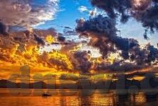 大象回家视频dx导航2022-大象回家，一场由DX导航引领的2022年温暖旅程