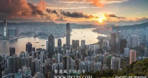 麻豆Av沈樵作品全集-揭开网络世界背后的阴影，一窥麻豆AV沈樵创作生涯的深影