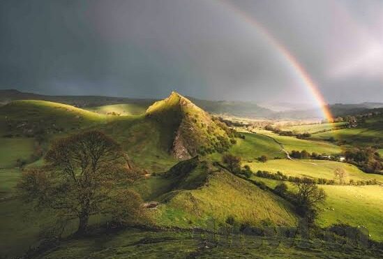 琪琪韩国伦理手机在线看-琪琪韩国伦理手机在线看，网络伦理的灰色地带与个人隐私的反思