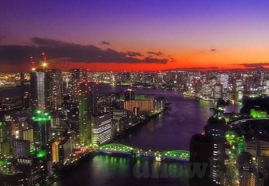 糖心vlog破解版兑换码-糖心Vlog破解版与网络内容使用的智慧权衡